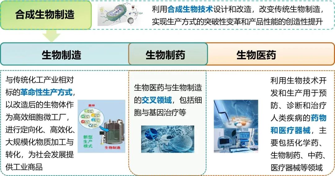 澳门挂牌玄机图