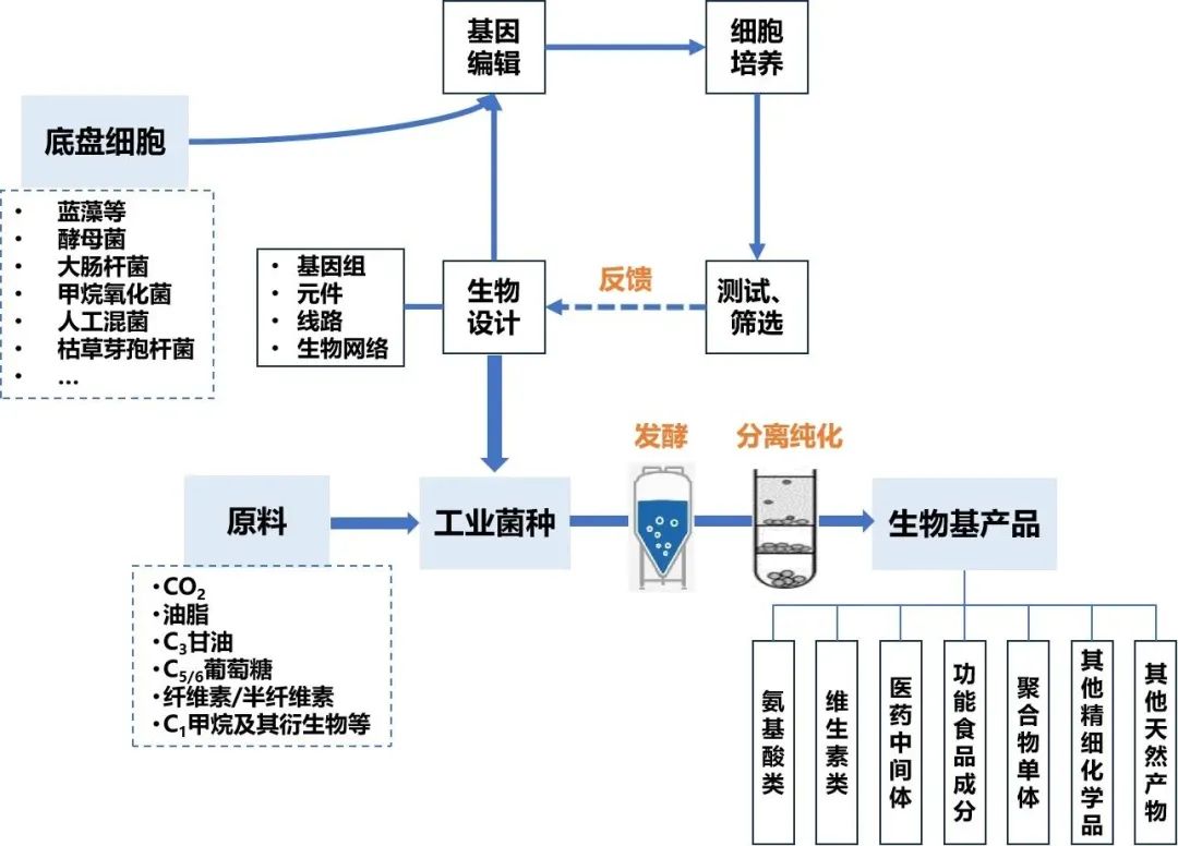 澳门挂牌玄机图