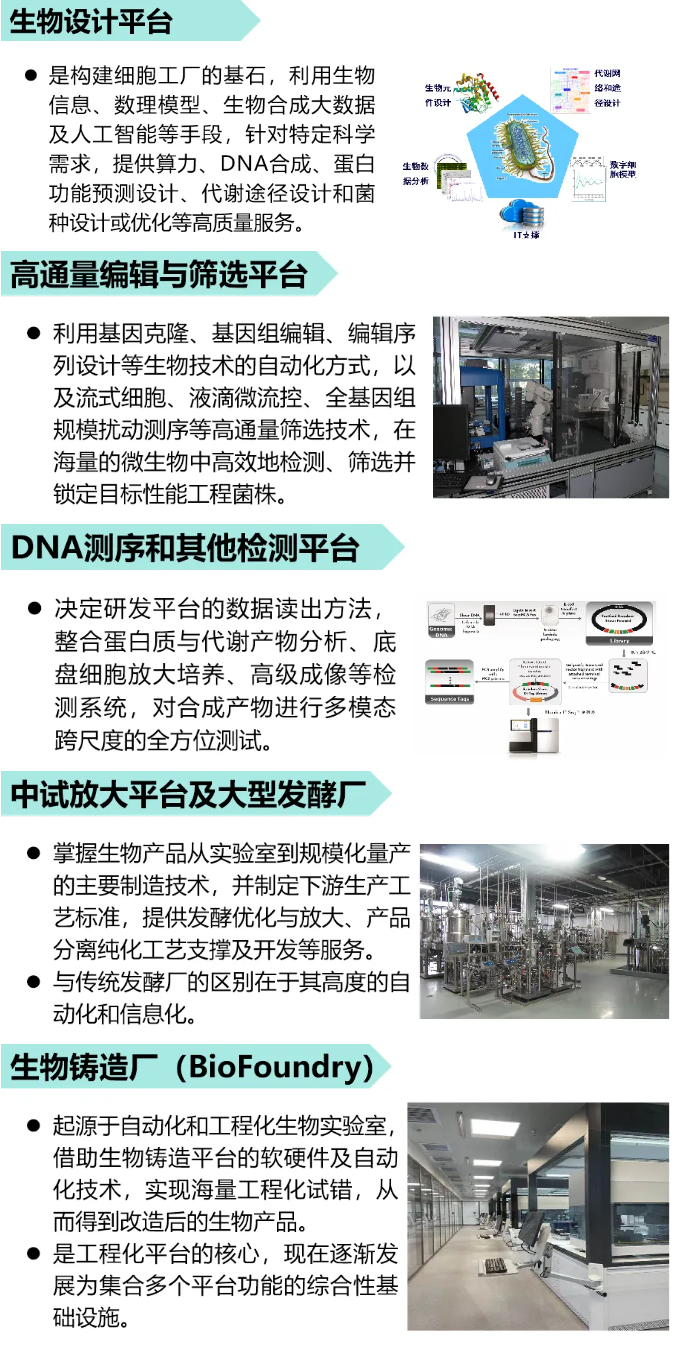 澳门挂牌玄机图