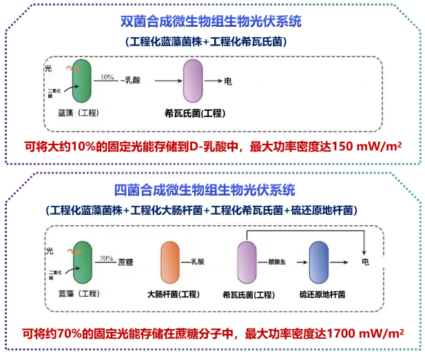 澳门挂牌玄机图