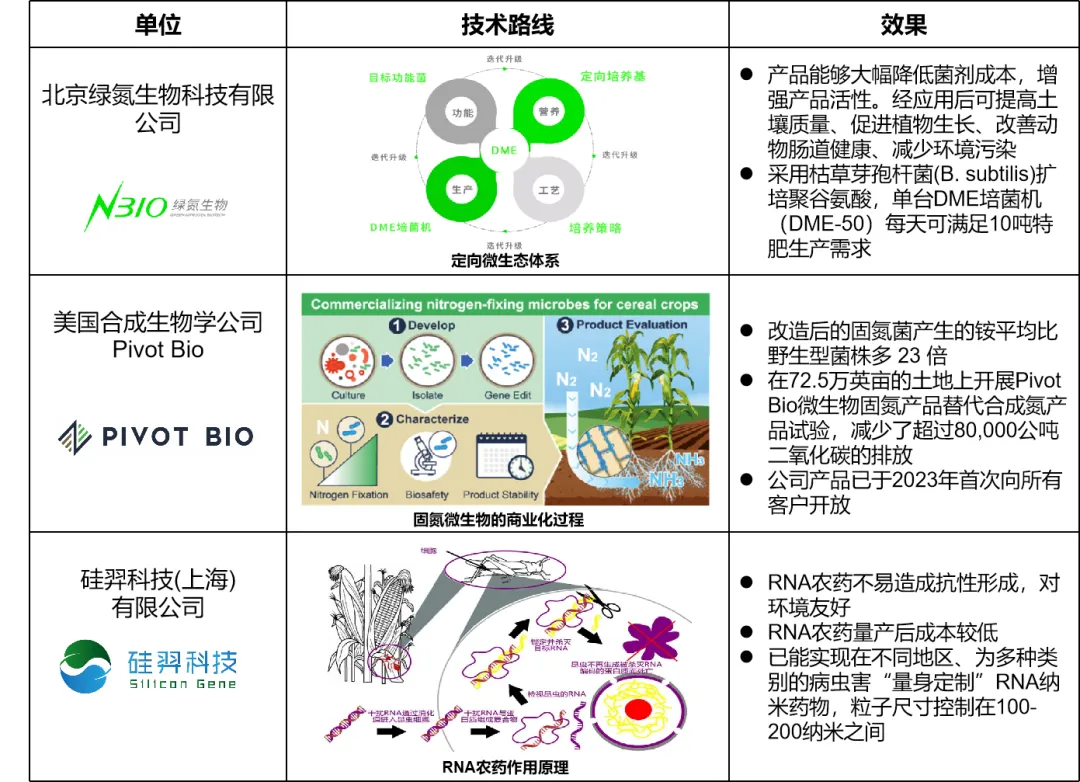 澳门挂牌玄机图