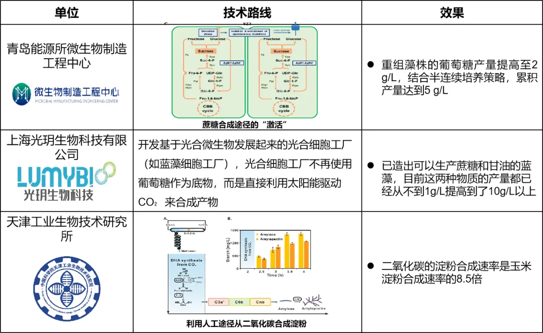 澳门挂牌玄机图